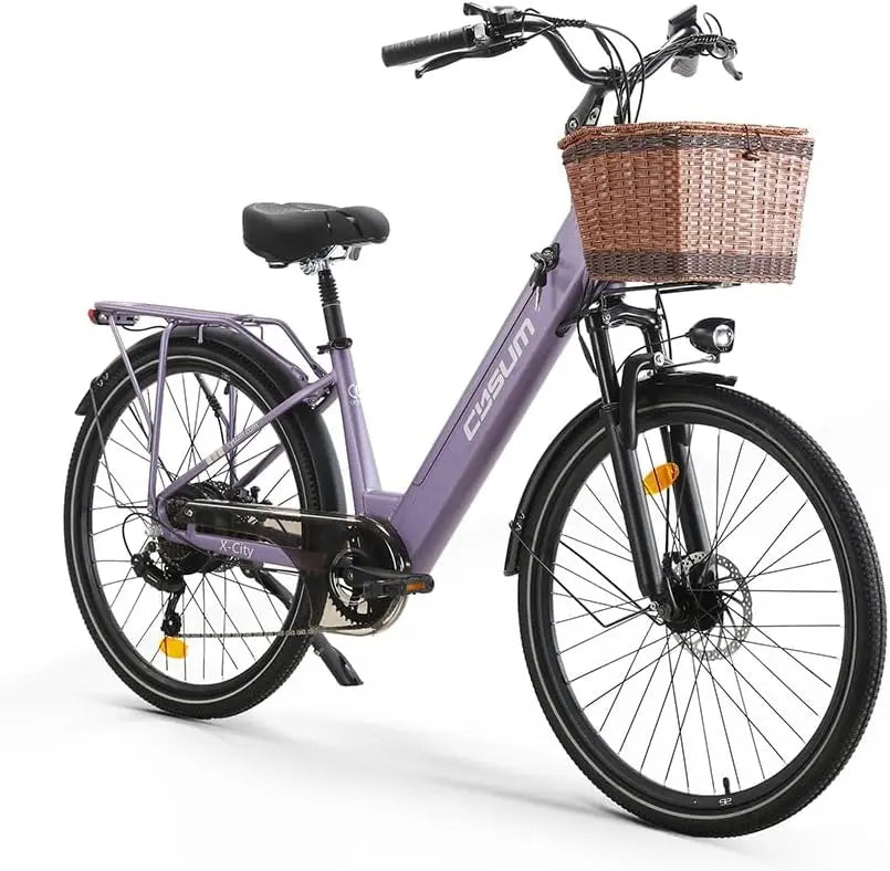 cysum Fahrrad 48 V 250 W 26 Zoll