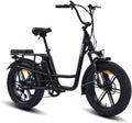 SPATIAL Fahrrad 48 V 250 W 20 Zoll mit Display