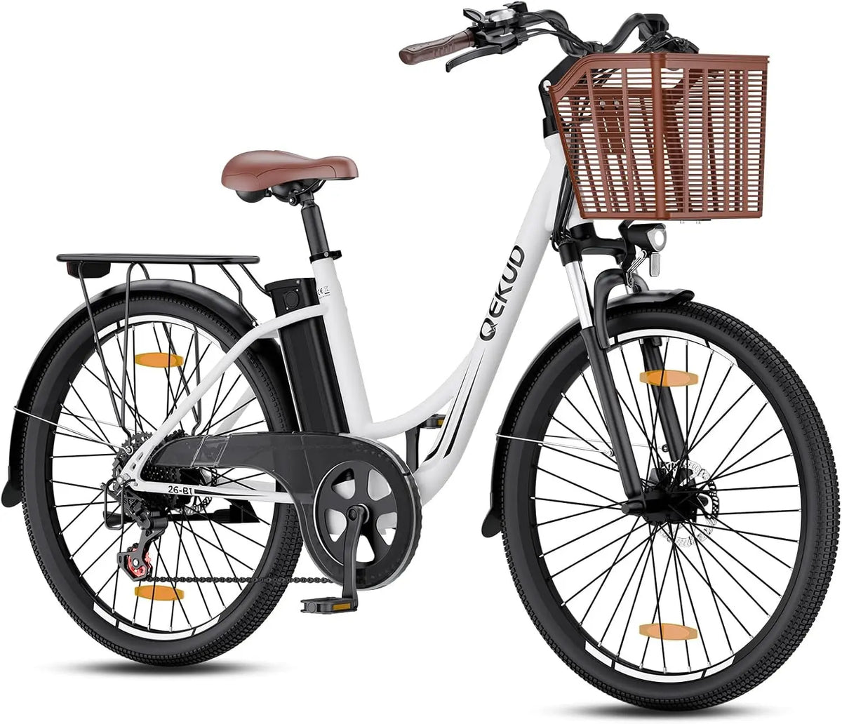 Fahrrad 36 V 250 W 26 Zoll